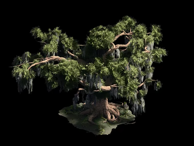 Tall Arbor Tree with Lush Green Leaves Thick Trunk Exposed Roots and Hanging Vines 3d model