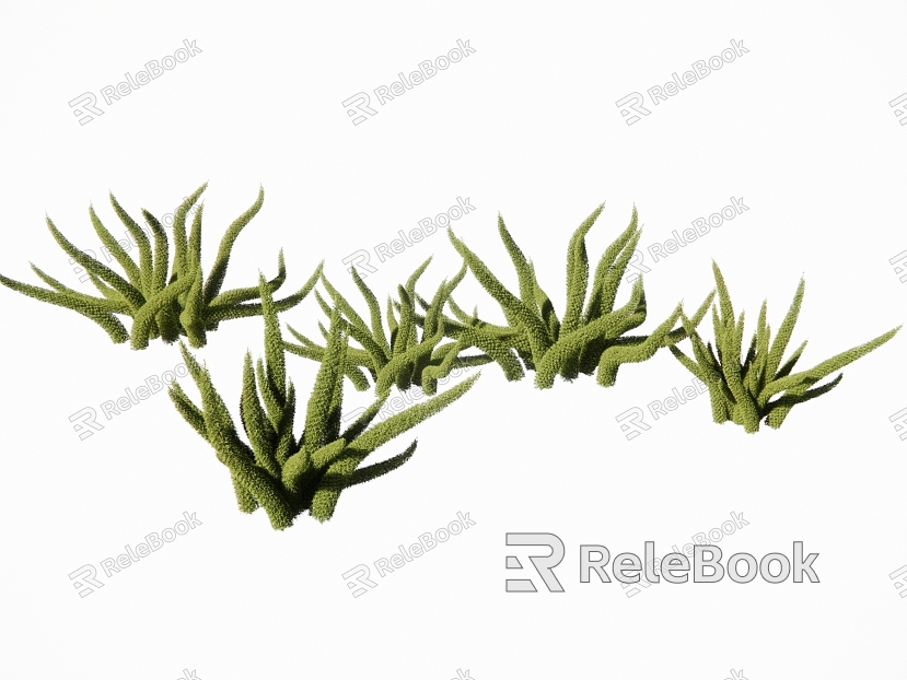 landscape plants landscape grass foxtail asparagus cover flowers courtyard plants model