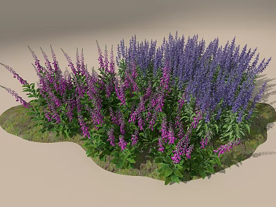 Beautiful Garden Flowers With Purple And Pink Blooms Green Leaves And Grass 3d model