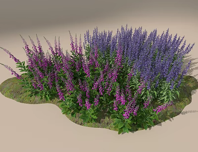 Beautiful Garden Flowers With Purple And Pink Blooms Green Leaves And Grass 3d model
