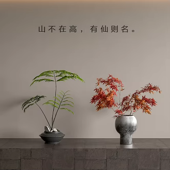 New Chinese Potted Plant 3d model
