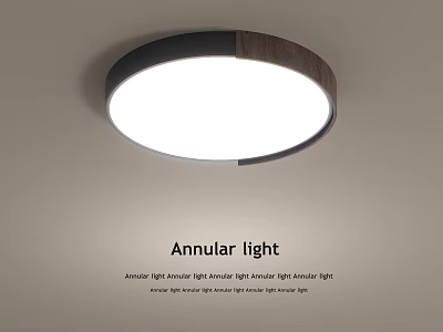 Modern Annular Ceiling Light With Dual Tone Design And Bright Light 3d model