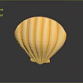 Marine Mollusk Animal Yellow Striped Seashell On Dark Surface With Shiny Reflection