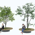 Tree Planter With Green Trees And Circular Benches For People Resting Outdoors