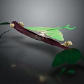 Green Moth Perched On Dark Colored Branch With White Flowers And Green Leaves