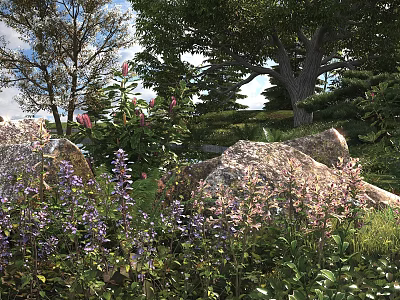 Colorful Flowers And Green Plants In Lush Natural Garden With Rocks Trees And Blue Sky 3d model