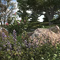 Colorful Flowers And Green Plants In Lush Natural Garden With Rocks Trees And Blue Sky