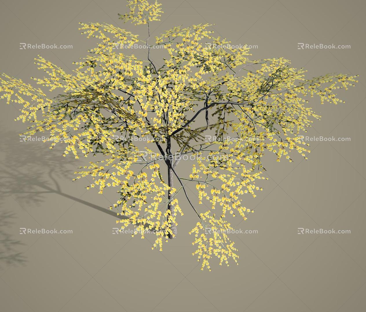 Simple Face Tree Landscape Tree Wintersweet 3d model