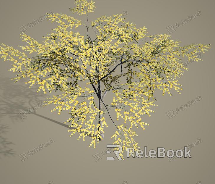 Simple Face Tree Landscape Tree Wintersweet model