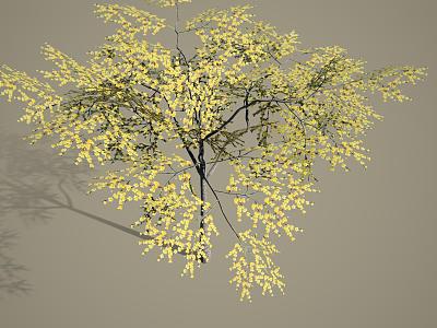 Simple Face Tree Landscape Tree Wintersweet model