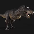 Realistic 3D Tyrannosaurus Rex Model With Open Mouth And Sharp Teeth