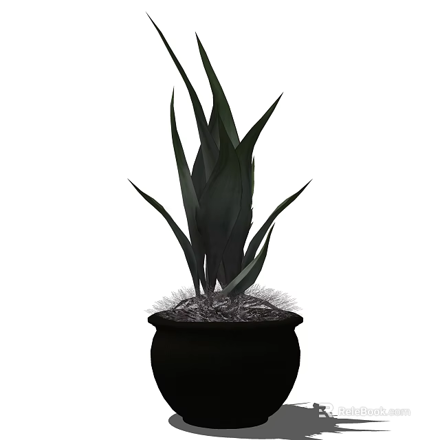 Bonsai Potted Plant With Long Dark Green Leaves In Black Pot 3d model 