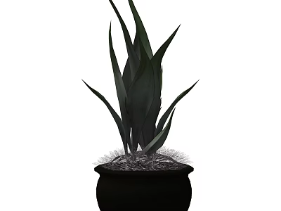 Bonsai Potted Plant With Long Dark Green Leaves In Black Pot 3d model