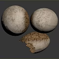 Egg Cartoon Egg with Egg Shell Chick Quail Egg Duck Egg Goose Egg 3d model