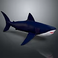 Realistic Dark Blue And White Shark Aquatic Animal Model With Sharp Teeth