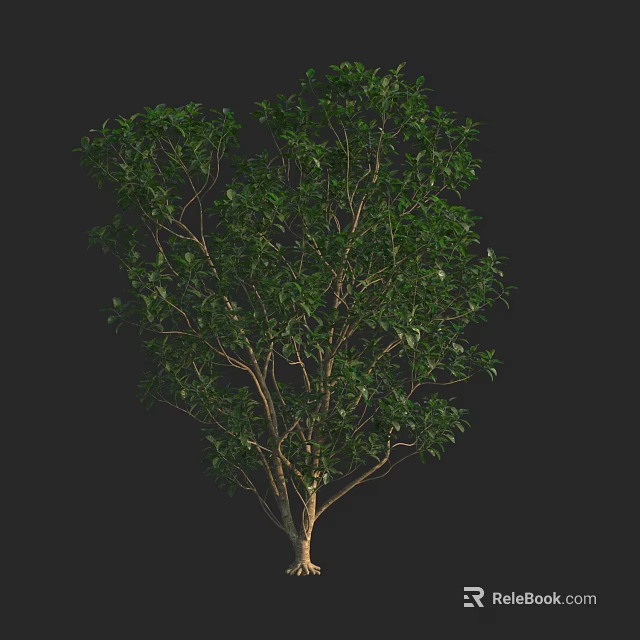 Lush Green Tree With Healthy Branches And Natural Trunk Structure 3d model