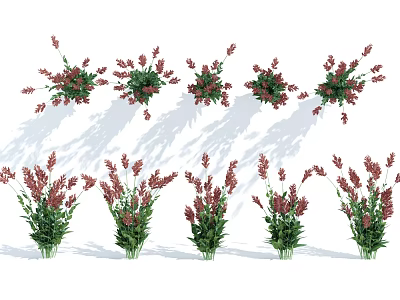 Bouquets of Colorful Flowers with Red and Green Leaves Arranged in Rows with Shadow Effects 3d model