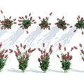 Bouquets of Colorful Flowers with Red and Green Leaves Arranged in Rows with Shadow Effects