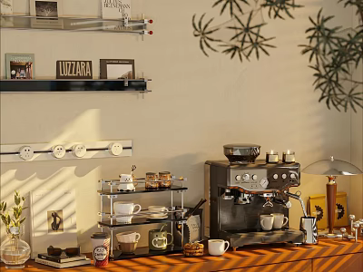 Decorative Ornament Combination in Cozy Corner With Wooden Counter Coffee Machine Cups Plants and Sunlight 3d model