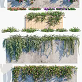 Lush Green Climbing Vines Decorating Wooden Fence And Stone Wall Surfaces