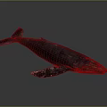 Dark Whale Model Featuring White Underbelly Placed On Reflective Black Surface 3d model