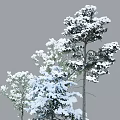 Snow Covered Arbor With White Snow On Branches In Beautiful Winter Scene