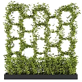 Lush Green Climbing Vines Covering Decorative Grid For Natural Garden Backdrop