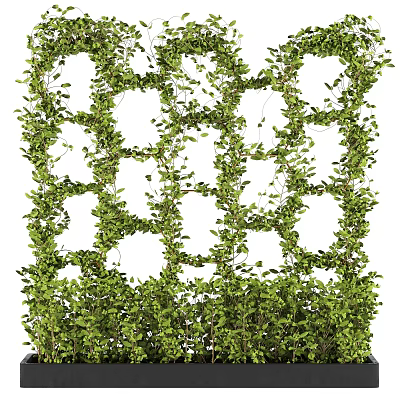 Lush Green Climbing Vines Covering Decorative Grid For Natural Garden Backdrop 3d model Lush Green Climbing Vines Covering Decorative Grid For Natural Garden Backdrop 3d model