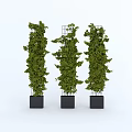 Vertical Decorative Potted Plants With Green Foliage And Metal Frames In Black Pots