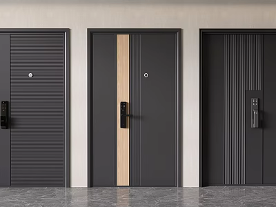 Modern Security Doors With Three Different Designs Wooden Strip And Black Finish 3d model