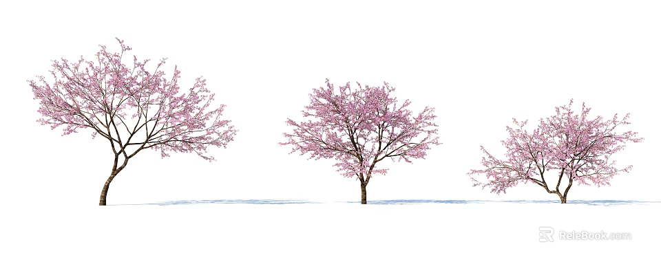 Three Trees With Pink Blossoms Against White Background And Ground Shadows 3d model 