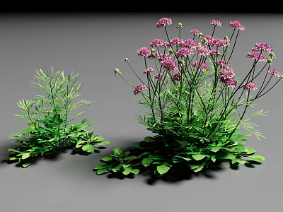 Vibrant Purple Flowers With Lush Green Leaves In Decorative Plant 3d model