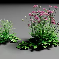 Vibrant Purple Flowers With Lush Green Leaves In Decorative Plant