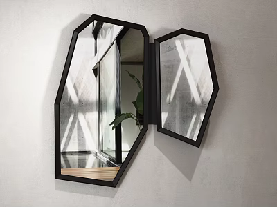 Hexagonal Wall Mounted Mirrors With Black Frames Reflecting Indoor Structure And Green Leaf 3d model