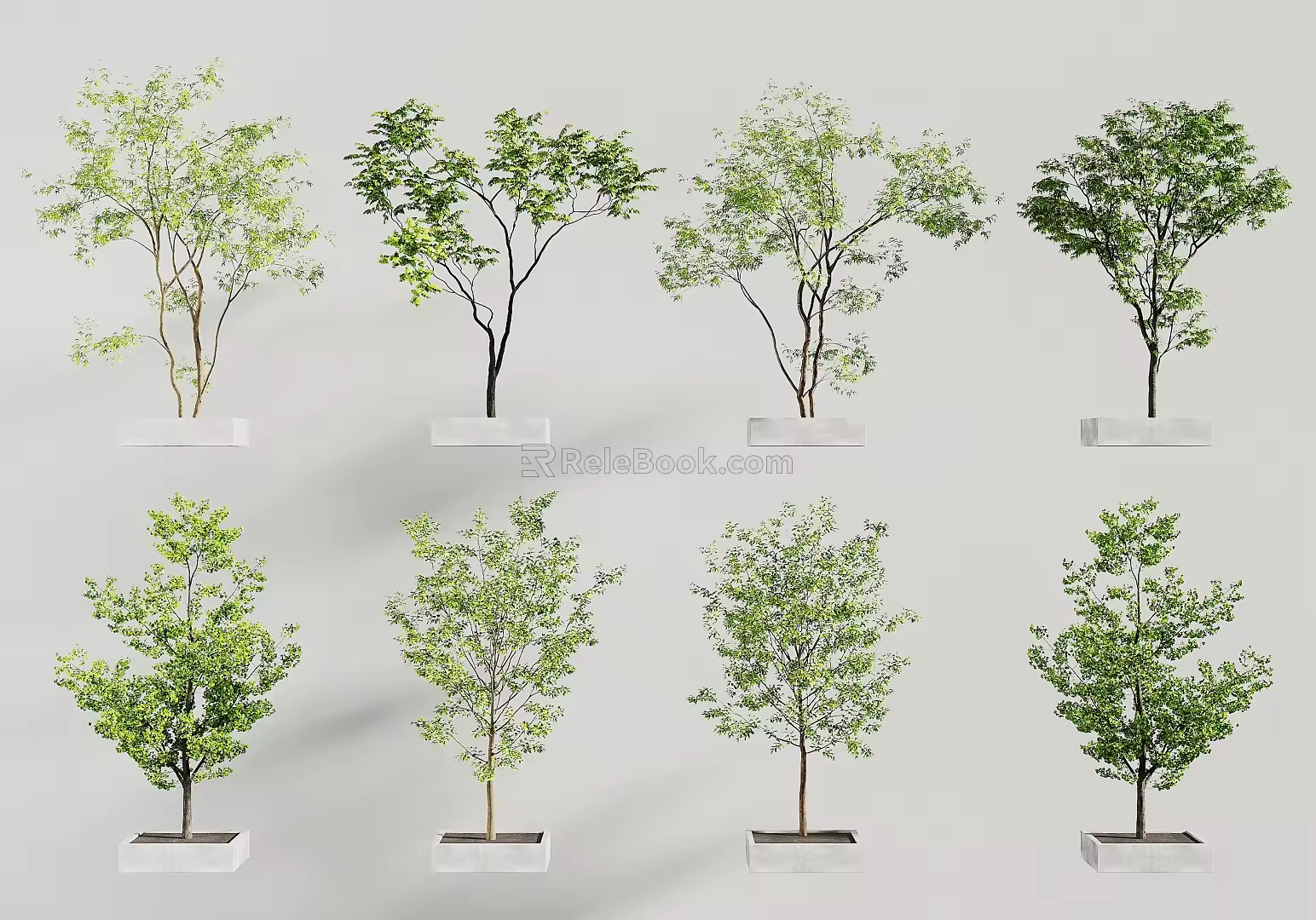 modern landscape tree 3d model