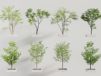 modern landscape tree 3d model