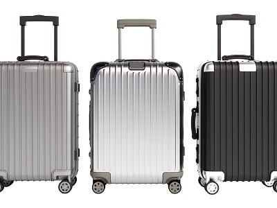 Modern Luggage model