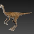 Realistic 3D Dinosaur Model With Long Neck And Slender Legs On Brown Background