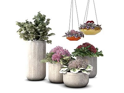 Bonsai Potted Plants With Ceramic Pots Hanging Planters Lush Green Leaves And Colorful Flowers 3d model
