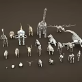 Dinosaur and Animal Skeleton Models Collection with Various Species and Sizes