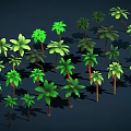 Green Palm Trees of Various Sizes with Shadows on Dark Background