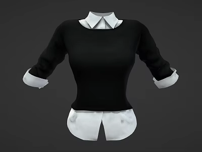 Fashionable Fitted Black Sweater With White Shirt Collar And Cuffed Sleeves 3d model