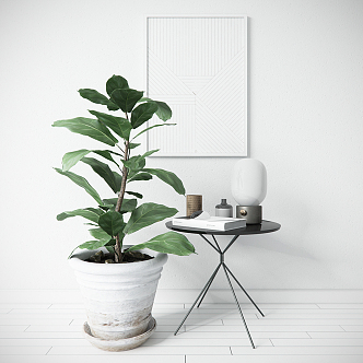 Modern potted plants 3d model