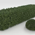 Well Trimmed Hedge Plants With Long Rectangular And Small Round Shapes For Garden Landscaping