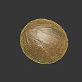 Brown Textured Coconut with Rough Surface on Black Reflective Background 3d model