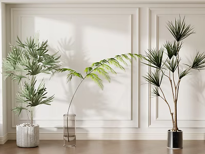 Elegant Indoor Potted Plants with Various Planters Against White Walls Decorative Moldings and Wooden Floor 3d model