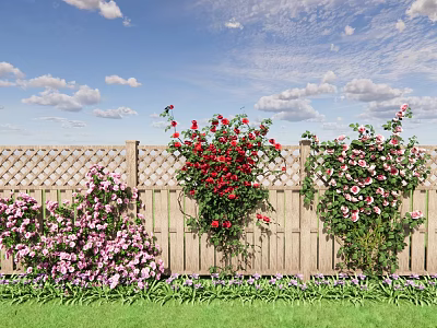 Climbing Vines With Colorful Flowers On Wooden Fence And Green Grass Under Blue Sky 3d model