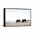 Animal Painting Featuring Grazing Horses in Open Grassland Field