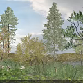 Beautiful Water Lilies And Lotus Flowers In Natural Pond With Green Grass And Bushes