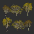 Modern autumn beech deciduous tree shrub combination autumn beech tree deciduous tree park greening tree beech tree combination 3d model